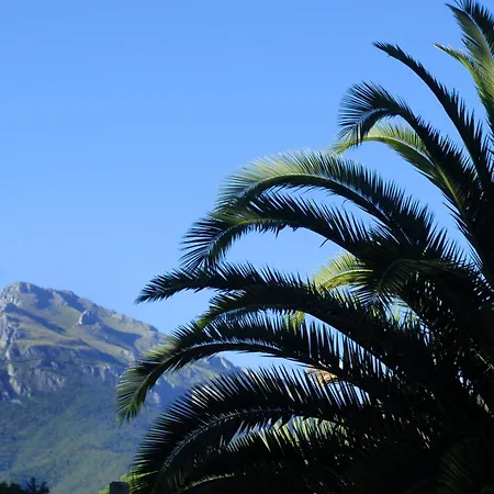 Holidays - Delle Rose Glamping