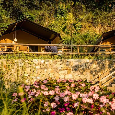 Glamping Holidays - Delle Rose *